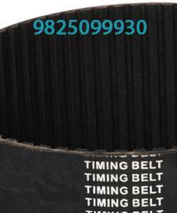 Pu Timing Belt : 5